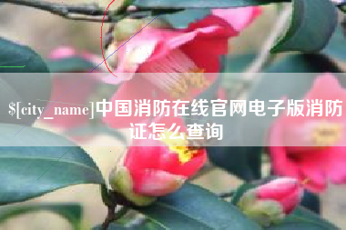晋城中国消防在线官网电子版消防证怎么查询