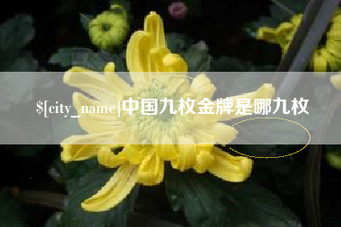 晋城中国九枚金牌是哪九枚