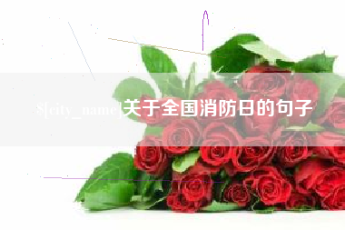 晋城关于全国消防日的句子