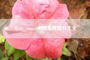 晋城中国金牌图片大全