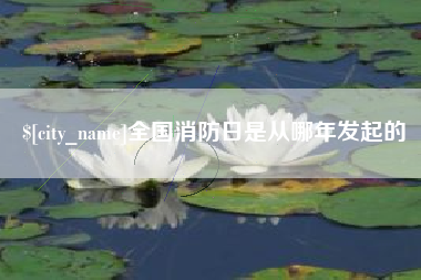 晋城全国消防日是从哪年发起的