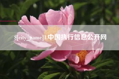 晋城1.中国执行信息公开网