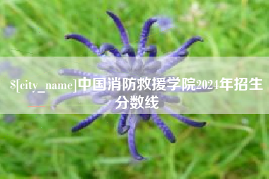 晋城中国消防救援学院2024年招生分数线
