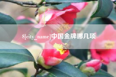 晋城中国金牌哪几项
