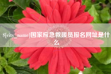 晋城国家应急救援员报名网址是什么