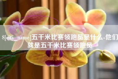 晋城五千米比赛领跑员是什么-他们就是五千米比赛领跑员