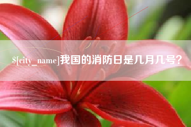 晋城我国的消防日是几月几号？