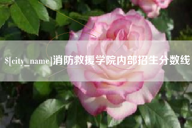 晋城消防救援学院内部招生分数线