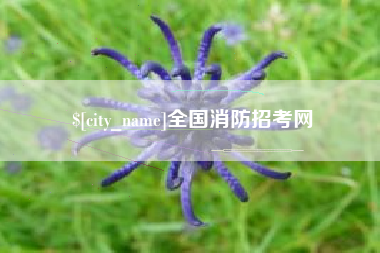 晋城全国消防招考网