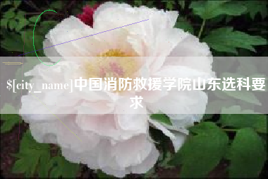 晋城中国消防救援学院山东选科要求