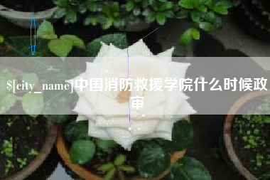 晋城中国消防救援学院什么时候政审