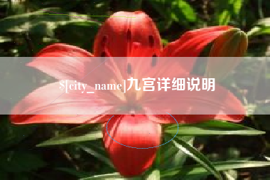 晋城九宫详细说明