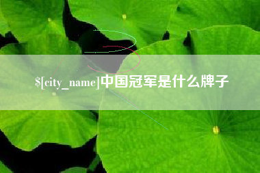 晋城中国冠军是什么牌子