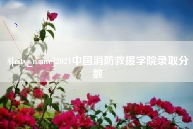 晋城2021中国消防救援学院录取分数