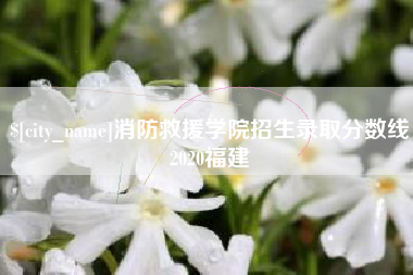 晋城消防救援学院招生录取分数线2020福建