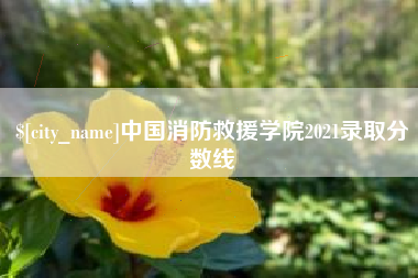 晋城中国消防救援学院2021录取分数线