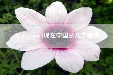 晋城现在中国哪几个金牌