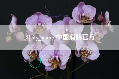 晋城中国消防官方