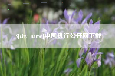 晋城中国执行公开网下载