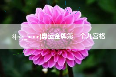 晋城奥运金牌第二个九宫格