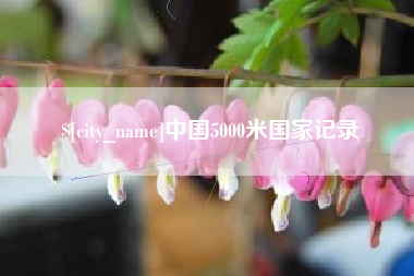晋城中国5000米国家记录