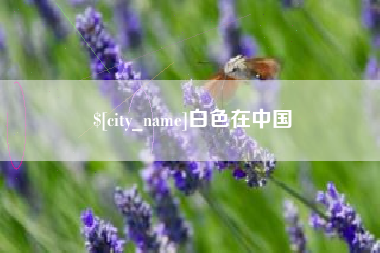 晋城白色在中国