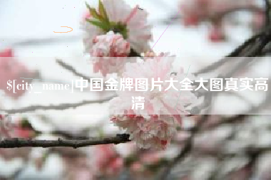 晋城中国金牌图片大全大图真实高清