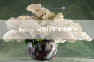 晋城中国第十个金牌