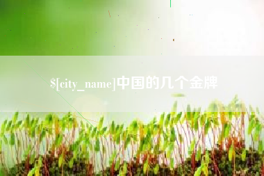 晋城中国的几个金牌