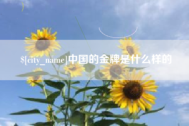 晋城中国的金牌是什么样的