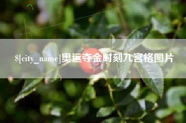 晋城奥运夺金时刻九宫格图片