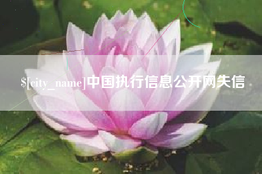 晋城中国执行信息公开网失信