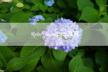 晋城2022九宫