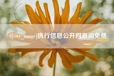 晋城执行信息公开网查询免费