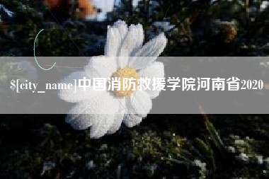 晋城中国消防救援学院河南省2020