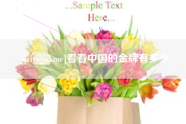 晋城看看中国的金牌有多少